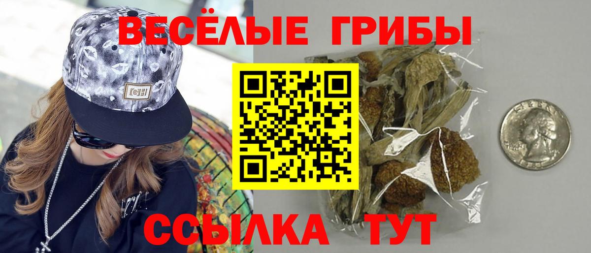 Назарово  Галлюциногенные грибы Psilocybe  Псилоцибиновые грибы Cubensis  Вход с VPN 